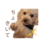 くうちゃんです！（個別スタンプ：31）
