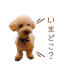 くうちゃんです！（個別スタンプ：33）