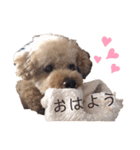 くうちゃんです！（個別スタンプ：34）