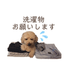 くうちゃんです！（個別スタンプ：35）