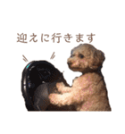 くうちゃんです！（個別スタンプ：38）