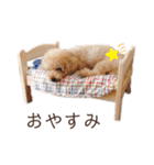 くうちゃんです！（個別スタンプ：39）