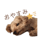 くうちゃんです！（個別スタンプ：40）