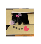 毎日ジジちゃん（個別スタンプ：4）