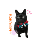 毎日ジジちゃん（個別スタンプ：6）