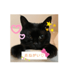 毎日ジジちゃん（個別スタンプ：7）