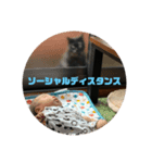 毎日ジジちゃん（個別スタンプ：8）