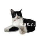 くぅちゃんとまりーちゃんの日常（個別スタンプ：2）