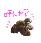 ローズとマリー（個別スタンプ：2）