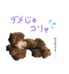 ローズとマリー（個別スタンプ：3）