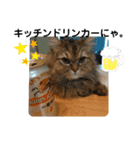 猫ちゃんにゃん。（個別スタンプ：2）