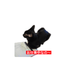 トロとフグ（個別スタンプ：1）
