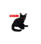 トロとフグ（個別スタンプ：12）