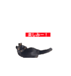 トロとフグ（個別スタンプ：15）