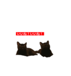 トロとフグ（個別スタンプ：16）