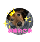 ☆そらくんスタンプ☆2（個別スタンプ：3）