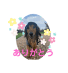 ☆そらくんスタンプ☆2（個別スタンプ：7）