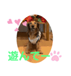 ☆そらくんスタンプ☆2（個別スタンプ：23）