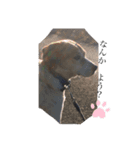 モリリンシリーズ2（個別スタンプ：6）