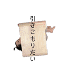 kafiy（個別スタンプ：21）