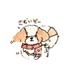 シーズー犬クッピー日常スタンプ（個別スタンプ：5）