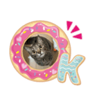 うちのりんタン（個別スタンプ：5）
