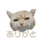 うにのかわいいすたんぷ（個別スタンプ：8）