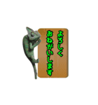 エボシカメレオン1（個別スタンプ：2）