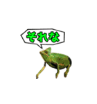 エボシカメレオン1（個別スタンプ：9）