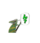 エボシカメレオン1（個別スタンプ：11）