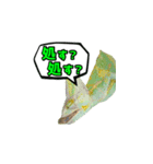 エボシカメレオン1（個別スタンプ：17）
