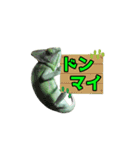 エボシカメレオン1（個別スタンプ：18）