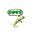 エボシカメレオン1（個別スタンプ：33）