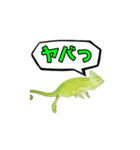 エボシカメレオン1（個別スタンプ：39）