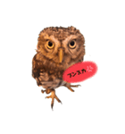 コキンメフクロウのふーちゃん（個別スタンプ：2）