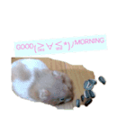 フクくんVer．1（個別スタンプ：4）