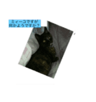我が家にいた猫の親子（個別スタンプ：3）
