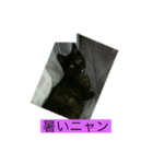 我が家にいた猫の親子（個別スタンプ：5）