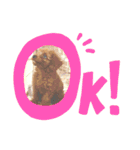 るーく君①（個別スタンプ：4）
