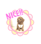るーく君①（個別スタンプ：7）