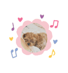 るーく君①（個別スタンプ：12）