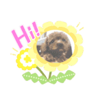 るーく君①（個別スタンプ：13）
