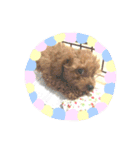 るーく君①（個別スタンプ：15）