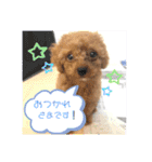 るーく君①（個別スタンプ：16）