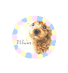 るーく君①（個別スタンプ：20）