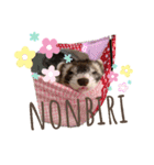フェルリーナ ローマ字で日本語編（個別スタンプ：12）