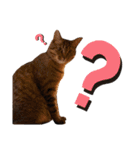 いぬたちとねこ（個別スタンプ：15）
