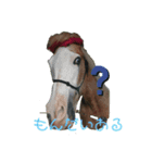 アイ＆パール面白くて、素敵な馬（個別スタンプ：2）