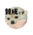 Yamamoto imoko 2（個別スタンプ：6）