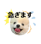 Yamamoto imoko 2（個別スタンプ：16）